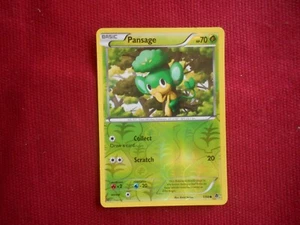 Pokemon Pansage 1/98 Emerging Powers Reverse Holo 2011 Trading Card - Picture 1 of 2