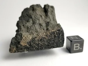 31g MAIN MASS of NWA 13456 C2 Carbonaceous Meteorite 1 Of 2 - Picture 1 of 9