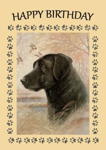 LABRADOR RETRIEVER KOPF STUDIE HUND GEBURTSTAGSGRÜSSE NOTIZKARTE - Bild 1 von 1