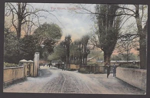 Postcard Lymington New Forest Hampshire view of The Grove posted 1907 - Foto 1 di 1