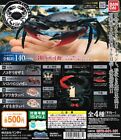 Bandai Capsule Animal Ikimono Encyclopedia Crab Kani Cpmpleted Set 4pcs