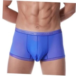 Mens Sexy Ice Silk Underwear See Through Boxers Sheer Trunks Large 1*blue - Picture 1 of 7