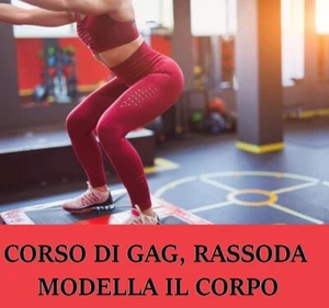 CORSO VIDEO DI FITNESS GAG+STRETCHING+DIETA IN PDF DIMAGRIRE TONIFICARE AL TOP - Foto 1 di 2