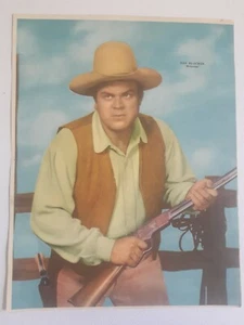 DAN BLOCKER - "BONANZA" - ORIGINAL POSTER CANAL TV - ARGENTINIEN 60er Jahre  - Bild 1 von 2