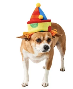 Rubies Pet Shop Pet Halloween Costume "CLOWN HAT" Puppy/Dog/Cat  S/M NWT - Picture 1 of 3
