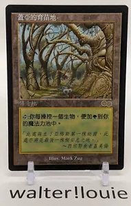 Chinese Gaea's Cradle Urza's Saga Unplayed NM MTG Magic The Gathering See Pics - Picture 1 of 2