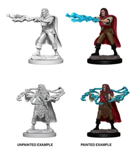 D&D Nolzurs Maravillosas Minis Sin Pintar: Hechicero Hombre Humano Nuevo - Imagen 1 de 1