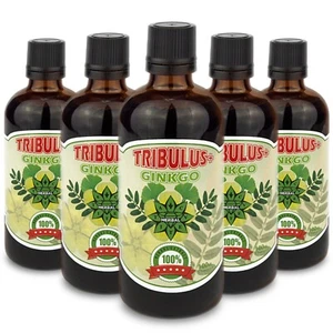 Tribulus Ginkgo biloba Memory Cognitive Health Muscle Gain Testosterone booster - Picture 1 of 10