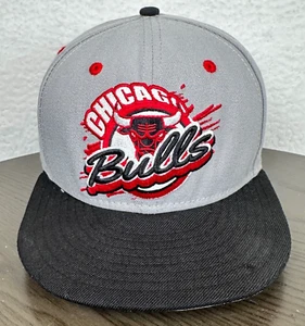 New Era 9Fifty Chicago Bulls Hardwood Classics Hat Cap Snapback Gray Black *Read - Picture 1 of 10
