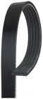 Serpentine Belt-Premium OE Micro-V Belt Gates K050344