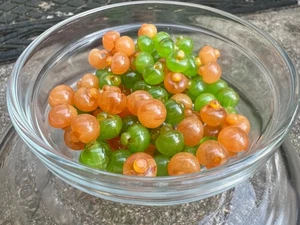 100 Bakelite 8mm Semi-Translucent Pink And Green Swirled Round Shank Buttons - Picture 1 of 3
