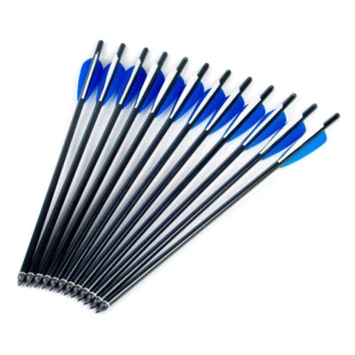 SALE 12Pcs 20" Crossbow Bolts Carbon Arrow Archery Half Moon Nock Hunting Season - Image 1 of 4