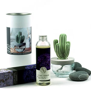 Pretty Valley Home Cactus Diffuser Combo DFC1314-(Citrus Verbena) Scent 200ml  - Picture 1 of 4