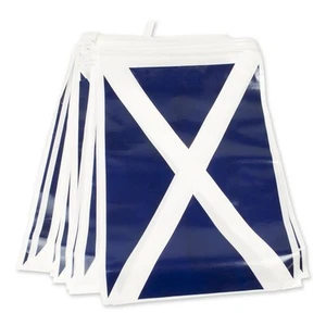 Bristol Novelty PG022D Scotland Bunting, Blue/White, One Size - Picture 1 of 1