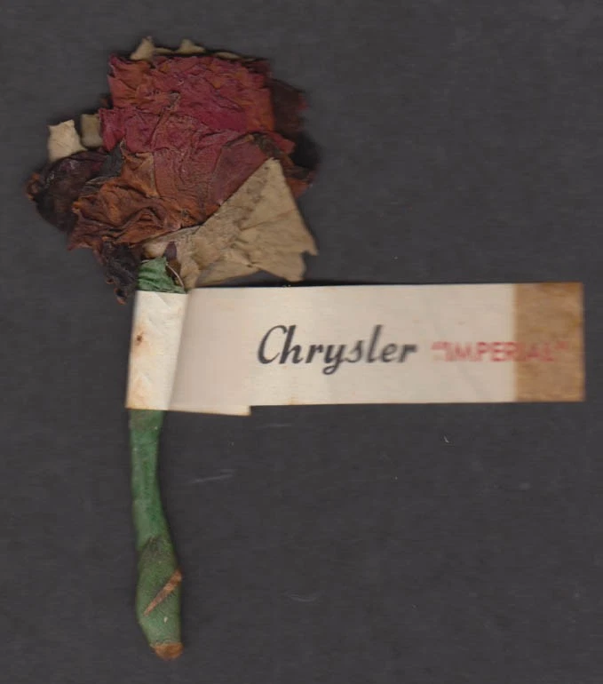 1953 Chrysler Imperial revendedor promocional rosa - Imagem 1 de 1