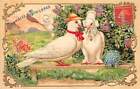 US34  greetings Souhaits Sinceres pigeons with hats Fantasy humanised