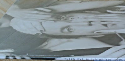 THIRD EYE BLIND We Are Drugs LP Vinyl 2016 Sealed - Image 1 of 3