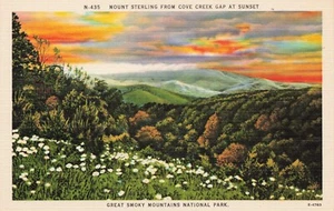Roadway Scene in "The Heart of the Mountains" TN Vintage Linen PC - Picture 1 of 2
