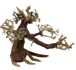 Aquarium Driftwood Bonsai Tree Fish Planted Freshwater Random Pick - Picture 1 of 6