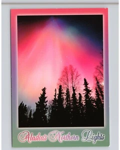 Alaska Nordlichter Vorhänge lila rot grün Lichter über Wald Postkarte - Bild 1 von 2