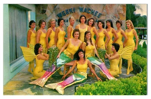 WEEKI WATCHEE FLORIDA MERMAID CAPITOL OF THE WORLD VINTAGE ADVERTISING POSTCARD - Foto 1 di 2
