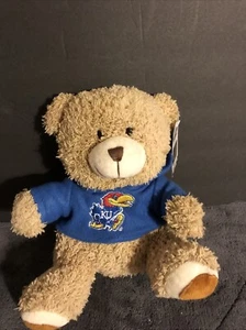 Kansas Jayhawk Teddy Bear with Hoodie - Foto 1 di 6