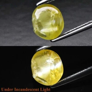 ★★ RARE !! CHRYSOBERYL OEIL DE CHAT DU SRI LANKA : 1,42 CARAT ★★ P243.129t - Imagen 1 de 3