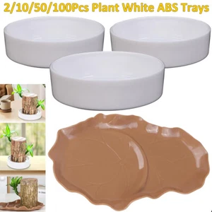 Lucky Brazilian Wood Pallet Plants Tray White ABS Trays for Hydroponic Planter - Picture 1 of 22