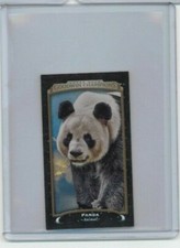 2017 Upper Deck Goodwin Champions Panda Black Metal Magician Mini #'ed 05/17