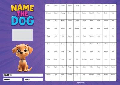 PRINT SNAPPY Fundraising Scratch Card Poster – A3 Name the Dog Charity Raffle Sweepstake Game