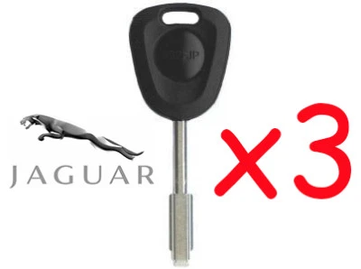 JAGUAR JAG -  XJ6 XJ8 XJR XJ12 XJS XK8 Sovereign Vanden Plas- Uncut Key Blank x3 - Image 1 of 2