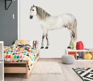3D Pferd H343 Tier Wallpaper Wandbild Poster Wandaufkleber Abziehbild Hone - Picture 1 of 6