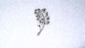 Abrigo Chaqueta de Hojas de Cristal Transparente Bufanda Broche Pin Joyería Moda Regalo - Imagen 1 de 2