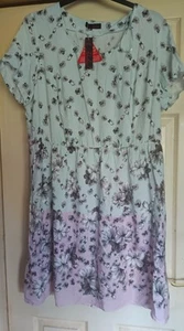REDUCED Sky Blue Floral Border Print Summer Dress From So Fabulous Sz 22🆕 - Picture 1 of 3