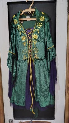 Girls Hocus pocus Green purple & gold layered dress size medium Halloween Dress - Image 1 of 4