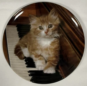 Kitten On the Keys Plate Crestley Collection 1993 #8612A de colección 7,75" - Imagen 1 de 4