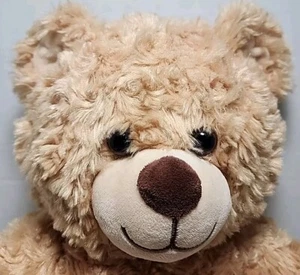 Build A Bear 16 Zoll cremefarben lockiges Haar Teddy Plüschtier - Bild 1 von 9