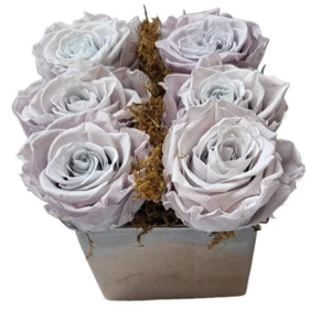 The Perfect Gift 6 Eternal Lavender Ecuadorian Roses in a Ceramic Silver Vase - Picture 1 of 2