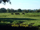 Photo 6X4 Heavy Horses At Necton These Meadows Are Just On The Outskirts  C2006