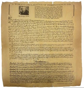 1848 Women’s Declaration of Independence Reproduction Seneca Falls Replica Doc - Picture 1 of 7