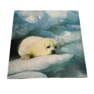 Springbok Furry Harp Seal 500 Pieces Puzzle Complete DAMAGED PIECE - Bild 1 von 8