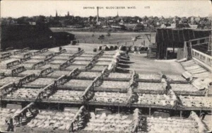 FISH FARM, Gloucester Massachusetts, Drying Fish; American Post Card Co, No. 117 - Bild 1 von 2