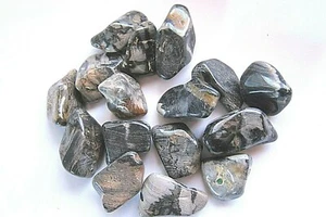 One Silverleaf Jasper XL 45-55mm Tumbled Stone Healing Crystal Shamans Magic - Picture 1 of 5