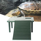 Turtle Basking Terrace Creative Entertaining Reptile Animal Rest Terrace Sturdy