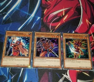 AMAZONESS Archers Chain Master,Swords Woman,Sage - Picture 1 of 1