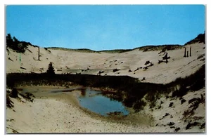 Indiana Dunes State Park, Chesterton, Indiana - Bild 1 von 2