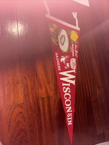 Banderín vintage tamaño completo Wisconsin Badgers Rose Bowl - Imagen 1 de 6