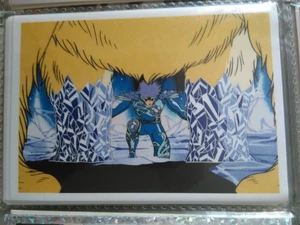 SAINT SEIYA CABALLEROS DEL ZODIACO PANINI - Imagen 1 de 1