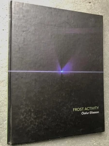 Olafur Eliasson. Frost Activity. 2004 - Foto 1 di 17