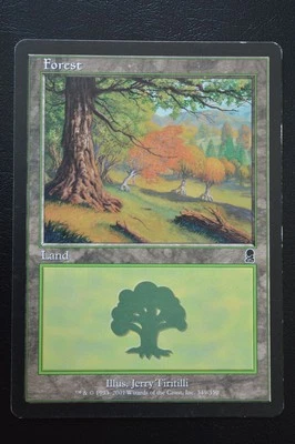 Magic The Gathering MTG FOREST (349) Odyssey MP Moderately Played - Image 1 of 2